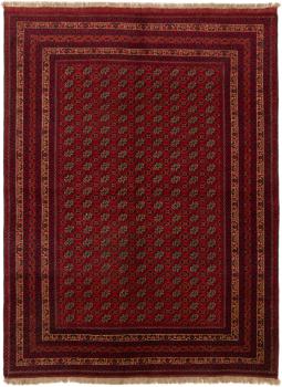 Afghan Mauri 191x146