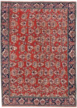Bidjar 314x230