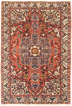Saman 208x141