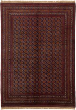 Afghan Mauri 196x146