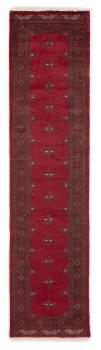 Pakistan Buchara 3ply 311x78