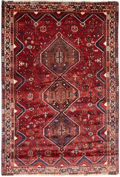 Shiraz 244x169