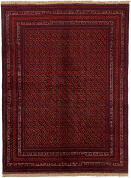 Afghan Mauri 197x148