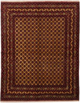 Afghan Mauri 192x150