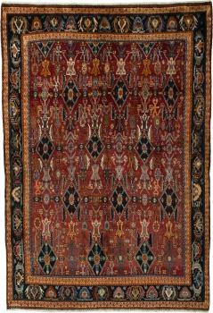 Shiraz 245x168
