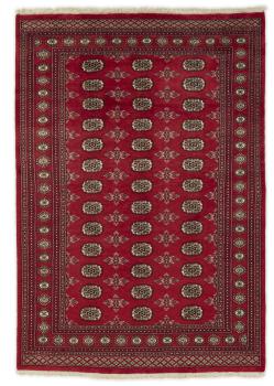 Pakistan Buchara 2ply 238x165