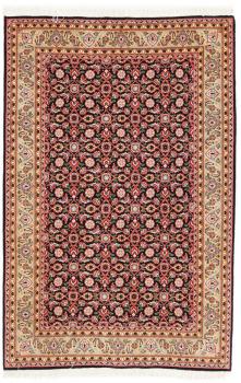 Tabriz 50Raj Mahi 155x102
