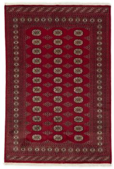 Pakistan Buchara 2ply 249x168