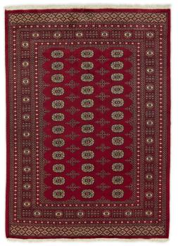 Pakistan Buchara 2ply 241x171