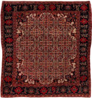 Farahan Antic 142x134
