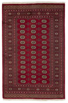 Pakistan Buchara 2ply 254x168