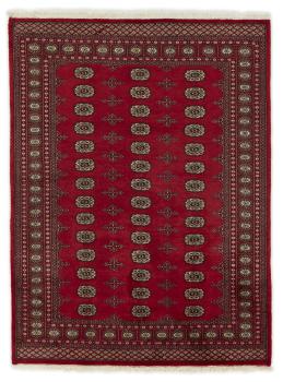 Pakistan Buchara 2ply 230x173