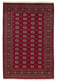 Pakistan Buchara 2ply 256x174