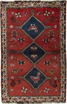 Shiraz 151x102