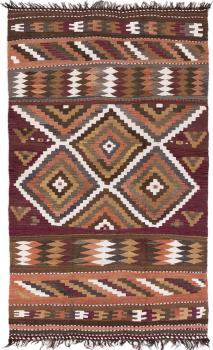 Elysian Limited 251x155