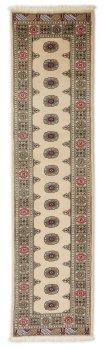 Pakistan Buchara 2ply 311x78