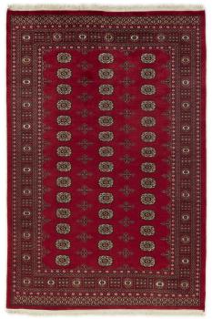 Pakistan Buchara 2ply 247x168