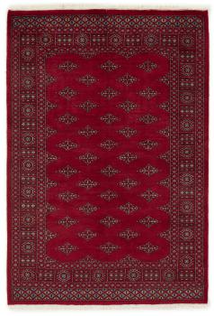Pakistan Buchara 3ply 199x135