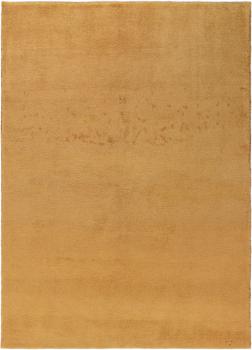 Perser Gabbeh Pure 233x168