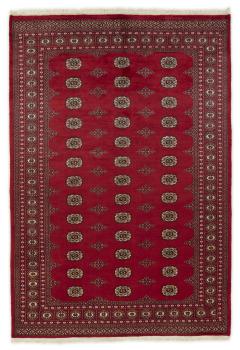 Pakistan Buchara 2ply 251x173