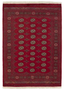 Pakistan Buchara 2ply 242x170