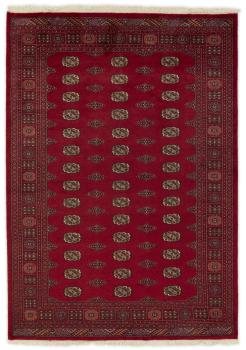 Pakistan Buchara 2ply 244x173