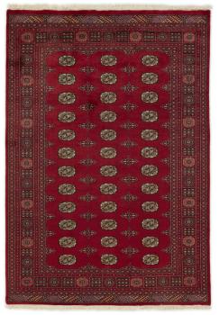 Pakistan Buchara 2ply 244x169