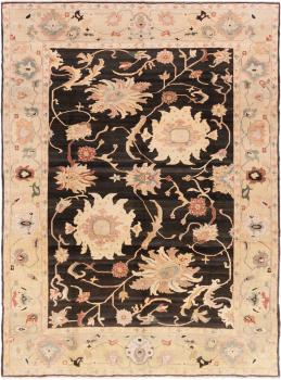 Ziegler Farahan 431x311
