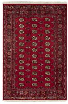 Pakistan Buchara 2ply 255x171