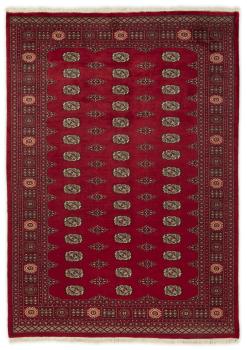 Pakistan Buchara 2ply 238x172