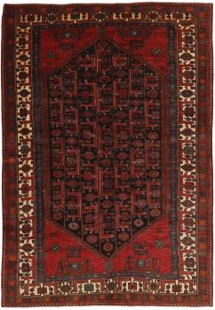 Shiraz 306x204