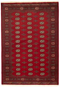 Pakistan Buchara 2ply 247x171