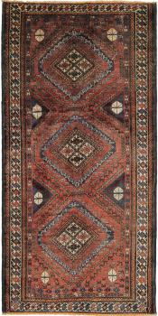 Shiraz 244x122