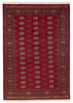 Pakistan Buchara 2ply 246x171