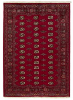 Pakistan Buchara 2ply 242x171