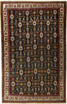 Shiraz 239x156