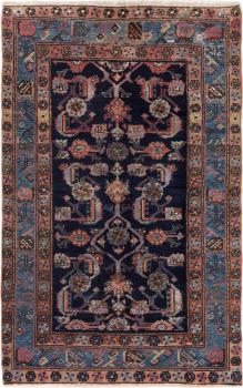 Shahsavan Alt 167x104