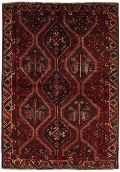Shiraz 254x179