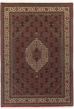 Indo Bidjar 244x173