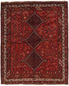 Shiraz 232x191