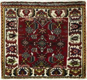 Shiraz 55x65