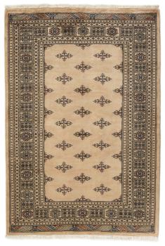 Pakistan Buchara 3ply 205x138