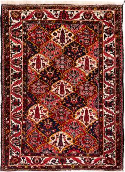Bakhtiari 224x161