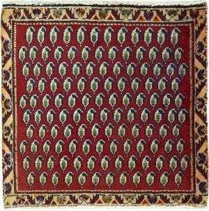 Shiraz 55x56