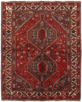 Shiraz 206x167