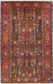 Nahavand 236x151