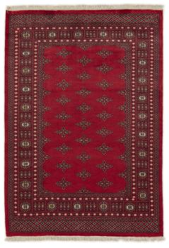 Pakistan Buchara 2ply 199x138