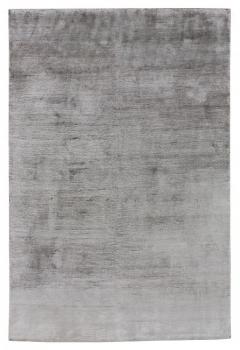 Shining Essence 349x251