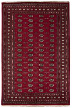 Pakistan Buchara 2ply 313x206