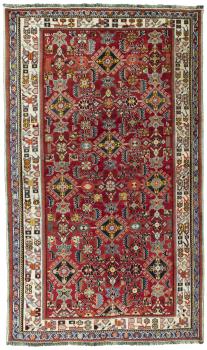 Shiraz 237x142